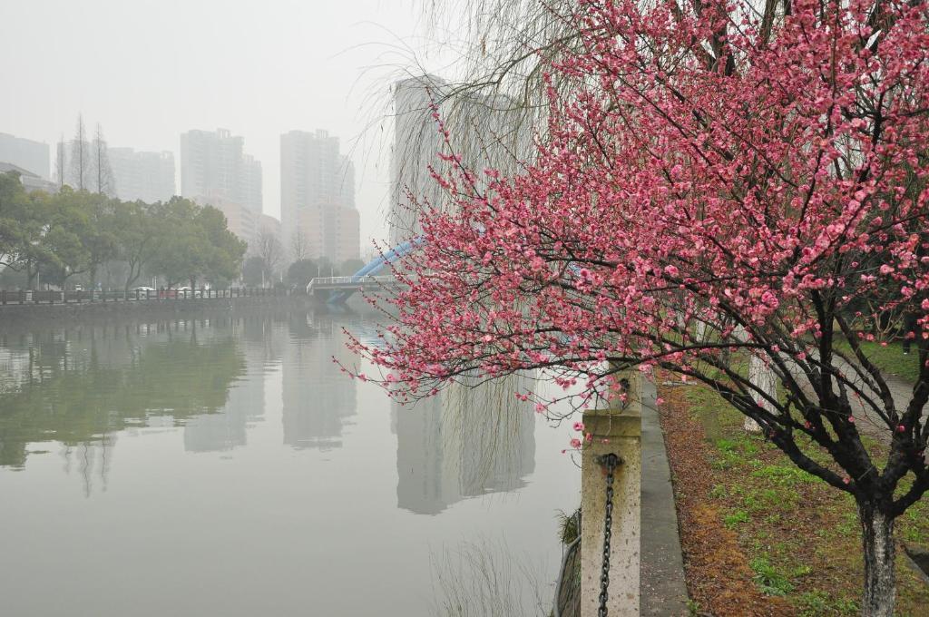 Zhejiang Xiangyuan Hotel Hangzhou Extérieur photo